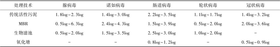 城镇污水污泥处理处置流程中典型病毒的发生及潜在风险