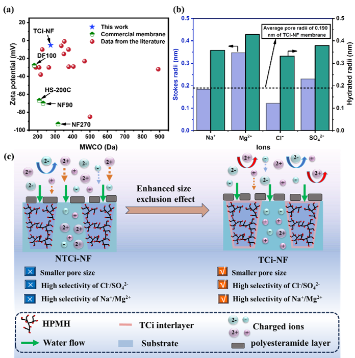 天津工业大学赵军强团队：以单宁酸自组装涂层为中间层的薄层复合纳滤膜通过增强尺寸筛分效应实现了高选择性
