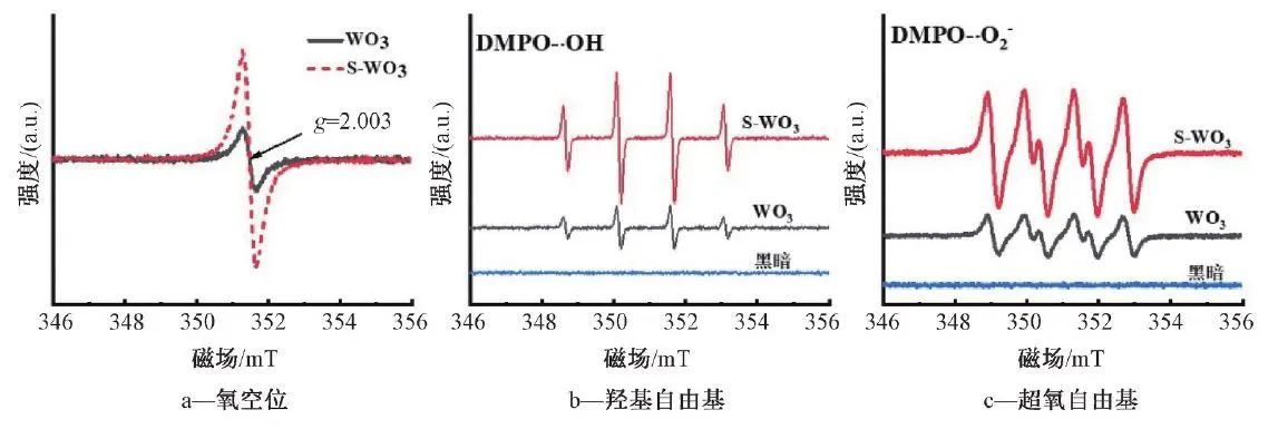 罗胜联教授团队：硫离子掺杂促进WO₃纳米线高效光催化降解甲苯