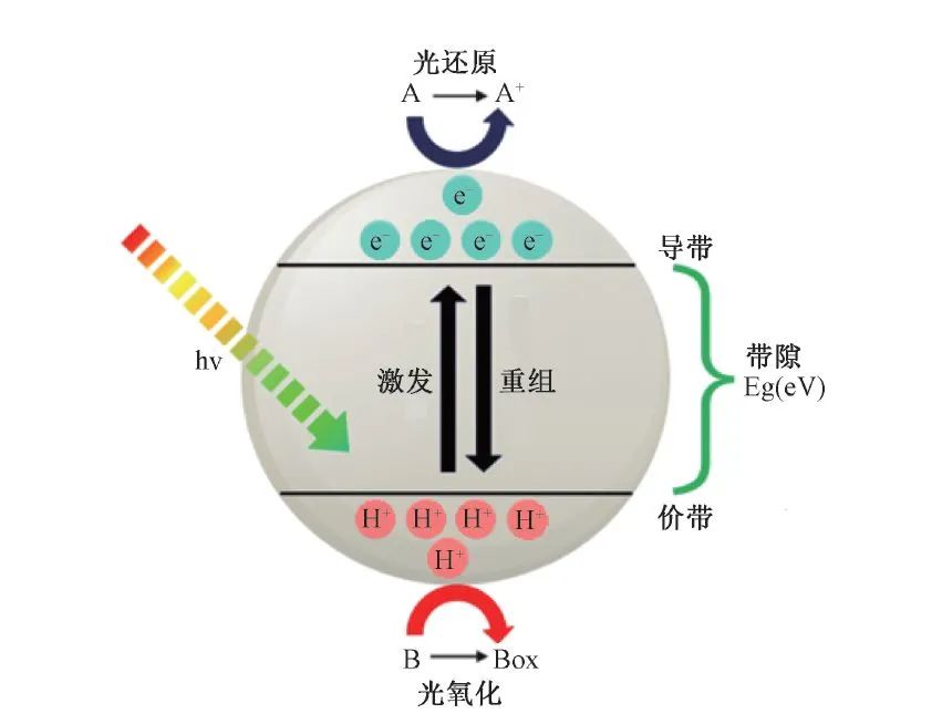 汪华林院士团队：污水制氢的现状与未来