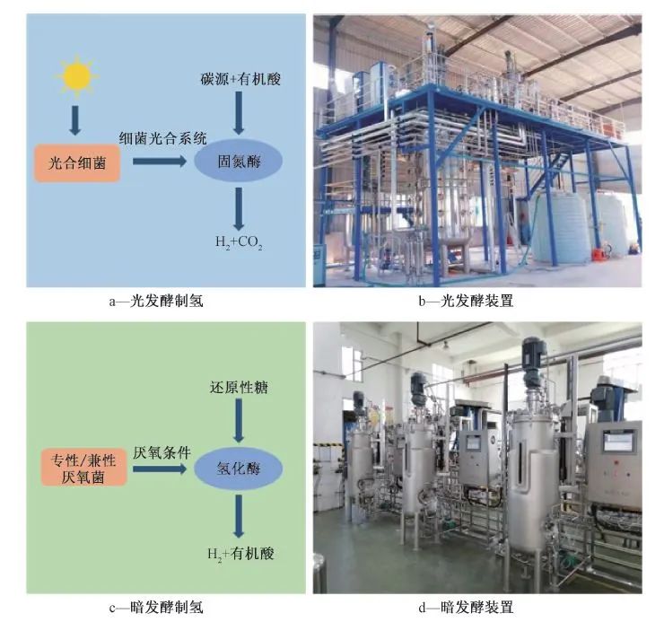 汪华林院士团队：污水制氢的现状与未来