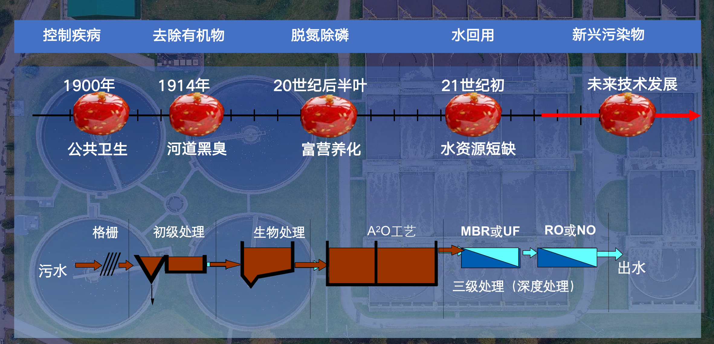 关于水务创新的精妙比喻：大象、马、兔子、糖葫芦