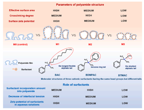 天津工业大学胡云霞教授团队：不同分子结构的阳离子表面活性剂调控界面聚合生成聚酰胺反渗透膜的作用机制研究