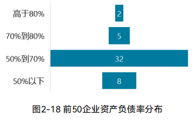 2024中国环境企业营收前50发展报告｜资产与负债情况分析