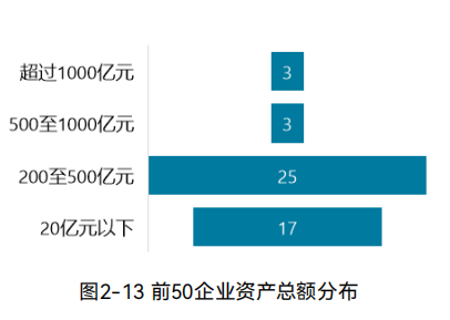 2024中国环境企业营收前50发展报告｜资产与负债情况分析