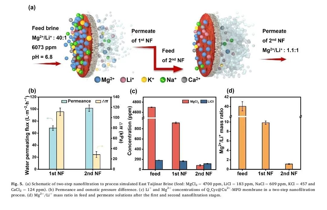 含季铵盐Cyclen的超分子配位纳米过滤膜用于从高镁锂比卤水中高效提取锂
