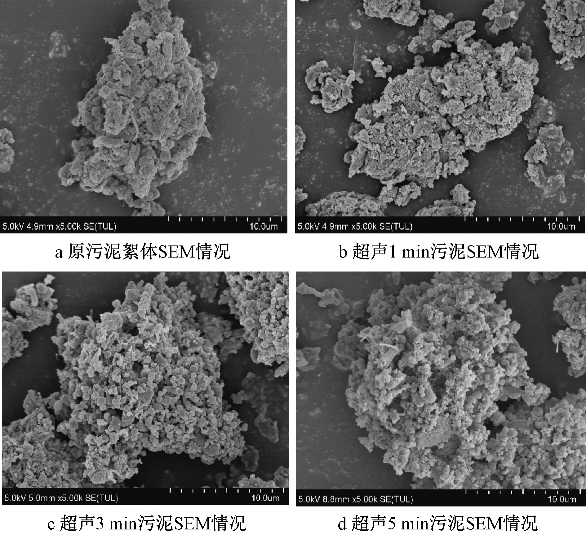 北排探索：大功率超声波技术提升污泥产气的研究