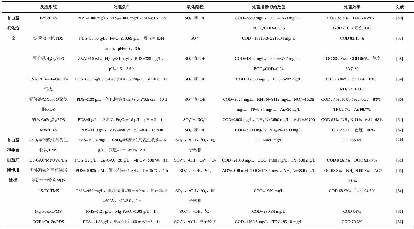 王大伟教授团队：垃圾渗滤液的过硫酸盐高级氧化深度处理技术研究进展