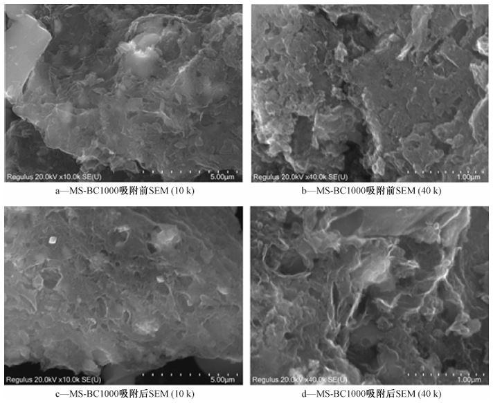 市政污泥基制备生物炭吸附四环素的性能研究