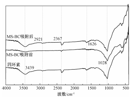 市政污泥基制备生物炭吸附四环素的性能研究