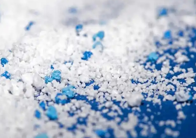 微塑料或成海洋碳循环重要因素