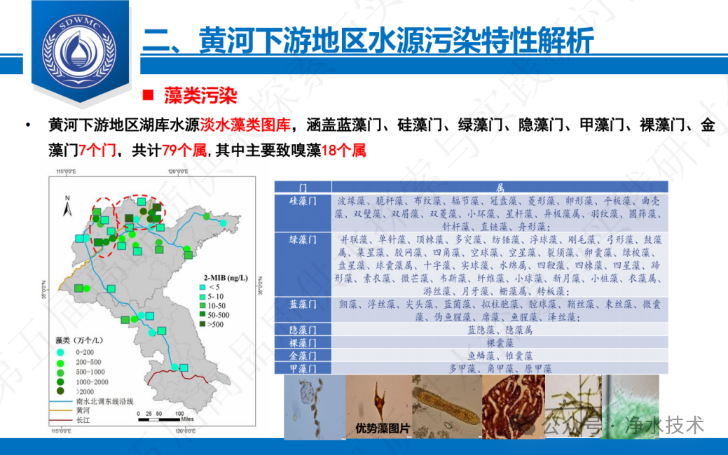 贾瑞宝：典型缺水城市之高品质供水技术体系构建与应用