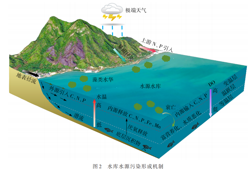 文刚教授团队：水库水源周期性水质问题与近自然修复技术研究进展