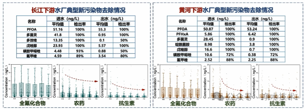 董慧峪：饮用水新污染物风险控制技术——控什么？怎么控？如何用？