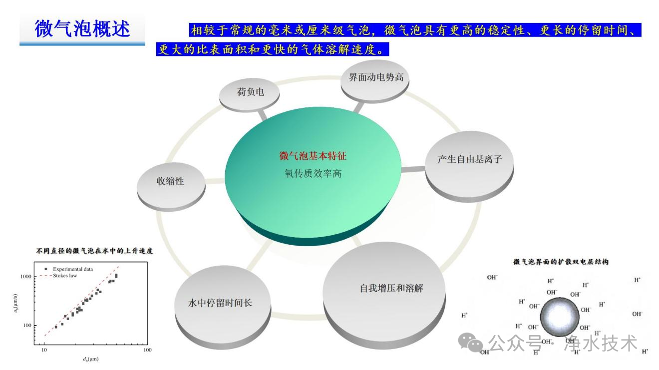 张平允：新型微气泡装置赋能高品质饮用水未来