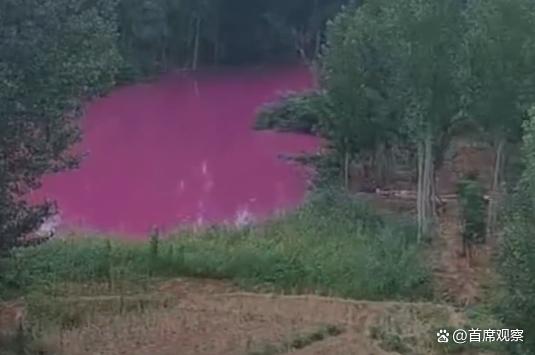 洛阳马屯村惊现粉红色水体 村民担心水质被污染 环保部门已介入