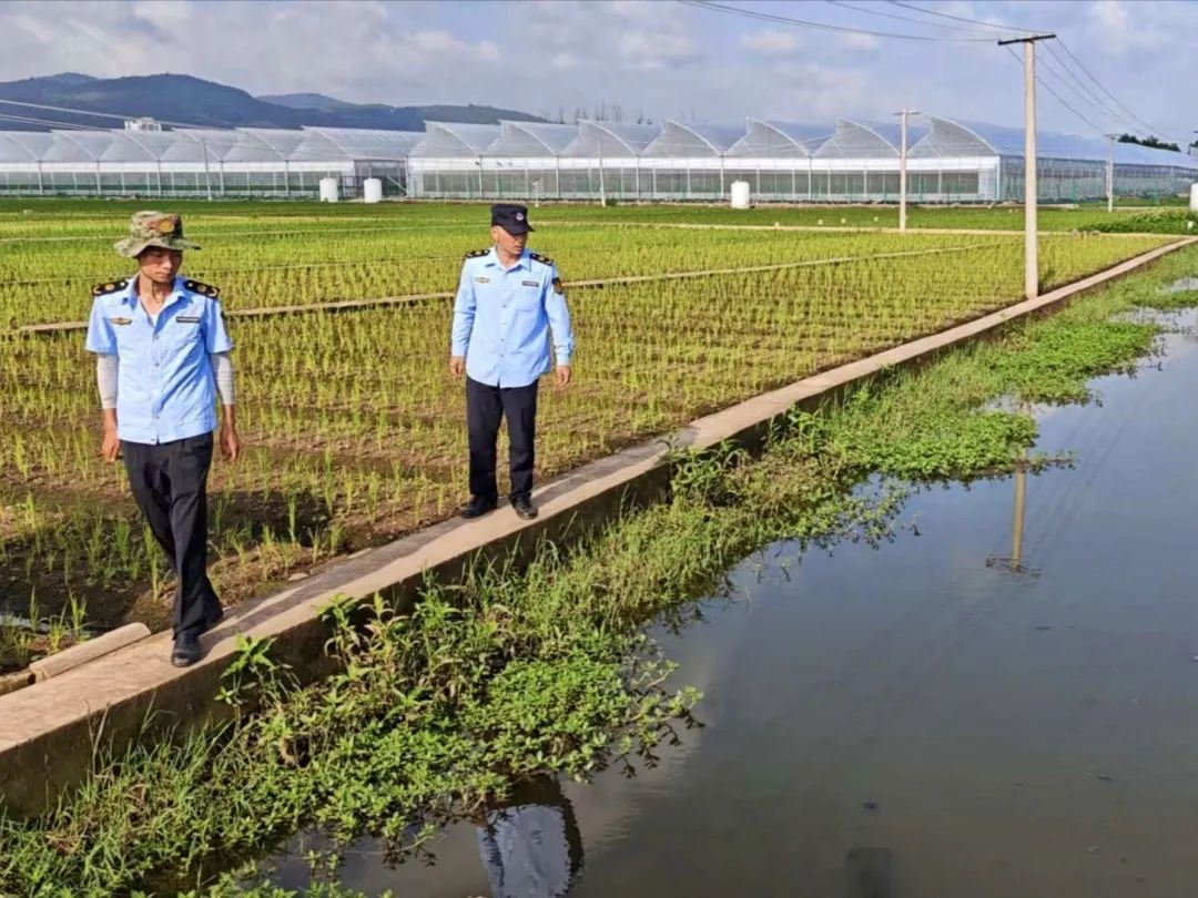 历经六轮降雨均无拦蓄带存水入湖 这地管控有何妙招？